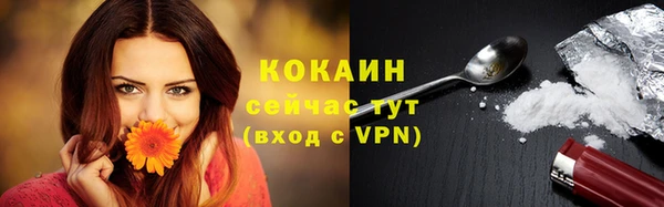 стаф Мегион