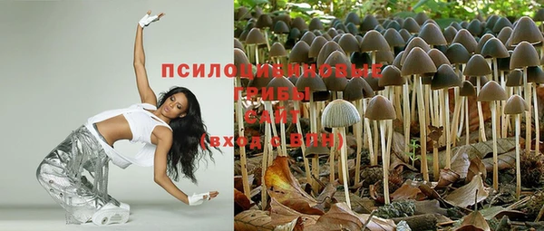 стаф Мегион