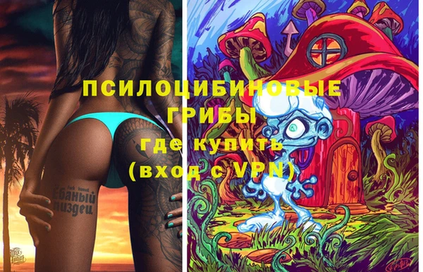 стаф Мегион