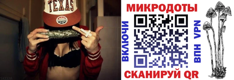 Купить закладки  Протвино  Галлюциногенные грибы Psilocybe 